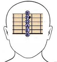 fingerstyle guitar