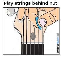 guitar nut