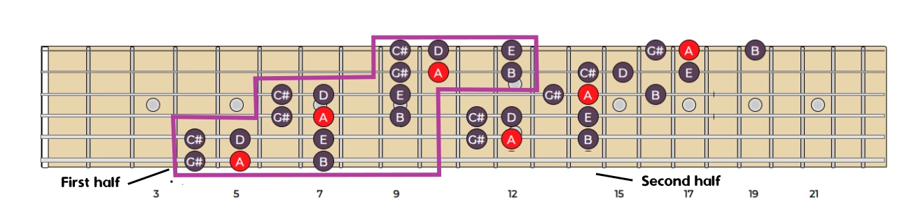 maplick fretboard diagram
